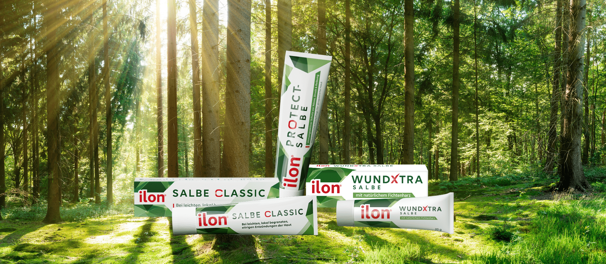 ilon Salbe classic, ilon Protect Salbe und ilon WundXtra Salbe angeordnet vor einem Waldhintergrund
