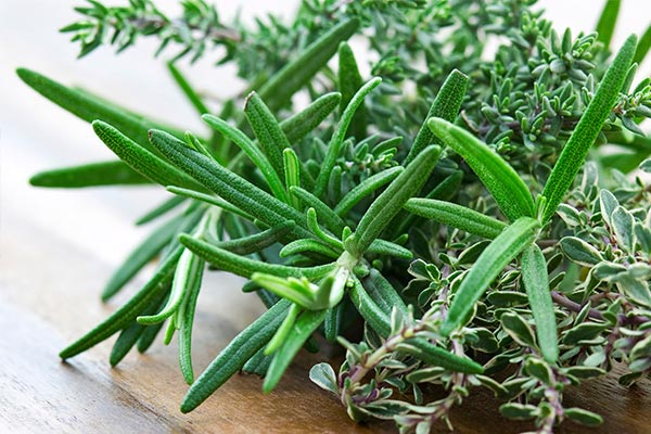Rosmarin- und Thymianzweige